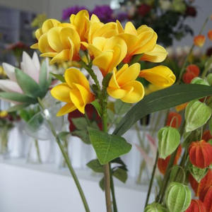 <span class=keywords><strong>PU</strong></span> gerçek dokunmatik yapay <span class=keywords><strong>Plumeria</strong></span> çiçek noel mezuniyet cadılar bayramı yeni yıl paskalya anneler günü çin yeni yıl bez - Product Image 2