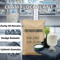 Polyacrylamide Cationique PAM de Qualité Industrielle à Densité de Charge Variable pour la Déshydratation des Boues d'Épuration