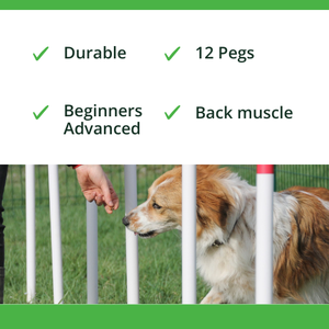Slalom Chien Agilité 12 Pegs Équipement Professionnel Train Structure Animal Bien-être Coordination Canine Pet Setup Fitness Chien Sport - Product Image 3