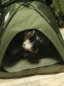 Gran oferta, tienda sólida para mascotas, casa ventilada para perros y gatos, refugio plegable, estampado, forma de patrón, extraíble, lavable, embalado para todas las estaciones - Product Image 2