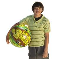 Ballon de plage éducatif gonflable personnalisé, ballon d'activités gonflable pour le plaisir en famille ou en fête