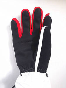 Gants à cinq doigts <span class=keywords><strong>de</strong></span> haute qualité, <span class=keywords><strong>sport</strong></span> personnalisé, extérieur, professionnel, hiver, chauffage électrique - Product Image 2