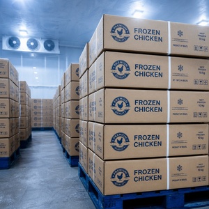 Cuisses de <span class=keywords><strong>poulet</strong></span> entières congelées de haute qualité, quartiers de <span class=keywords><strong>poulet</strong></span> congelés avec os et peau, coupes de <span class=keywords><strong>poulet</strong></span> congelées pour l'exportation, vente en gros, approvisionnement en vrac - Product Image 4