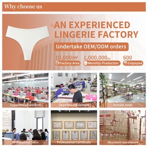 Aiermei Vente en gros usine <span class=keywords><strong>Tanga</strong></span> Bikinis mode respirants cool taille basse pour femmes String grande taille pour dames String sans couture pour femmes - Product Image 5