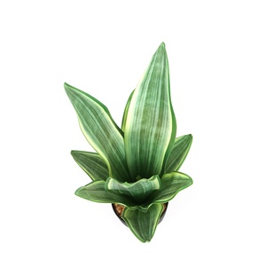 Venta al por Mayor <span class=keywords><strong>de</strong></span> Planta Artificial Mini <span class=keywords><strong>Sansevieria</strong></span> <span class=keywords><strong>de</strong></span> 9 Hojas y 38 cm <span class=keywords><strong>de</strong></span> Altura con Maceta <span class=keywords><strong>de</strong></span> Plástico - Product Image 2