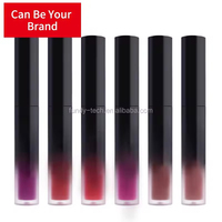 Gloss à lèvres liquide mat longue tenue, imperméable, plusieurs couleurs au choix, maquillage pour les lèvres, vente en gros