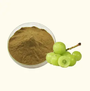 100% Pure Natural Plant extract amla fruit powder 10:1 for hair