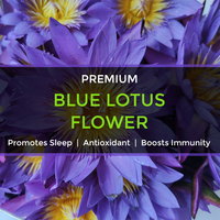 Sachets de thé au lotus bleu de qualité supérieure avec logo personnalisé Thé entier séché à la fleur de lotus bleu de haute qualité