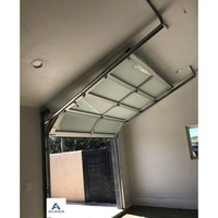 Porte de garage en aluminium à profilé bois, faible entretien, haute résistance, idéale pour les pays humides, avec cadre en aluminium et verre.