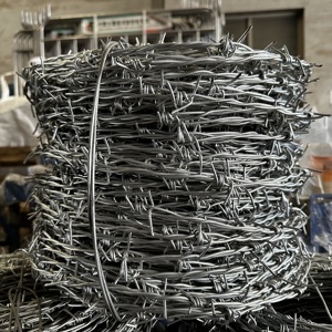 Thép mạ kẽm dây thép gai lưới 2 điểm cuộn dây huacheng thương hiệu Trung Quốc - Product Image 2