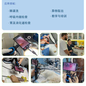 Endoscopio Veterinario RAE-105 con Imagenología Digital de Alta Definición para Diagnóstico Animal, con Monitor y Capacidad de Grabación de Video - Product Image 5