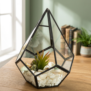Terrarium géométrique moderne en verre Jardinière de table élégante idéale pour les plantes succulentes Pièce d'accent pour la décoration intérieure élégante - Product Image 1