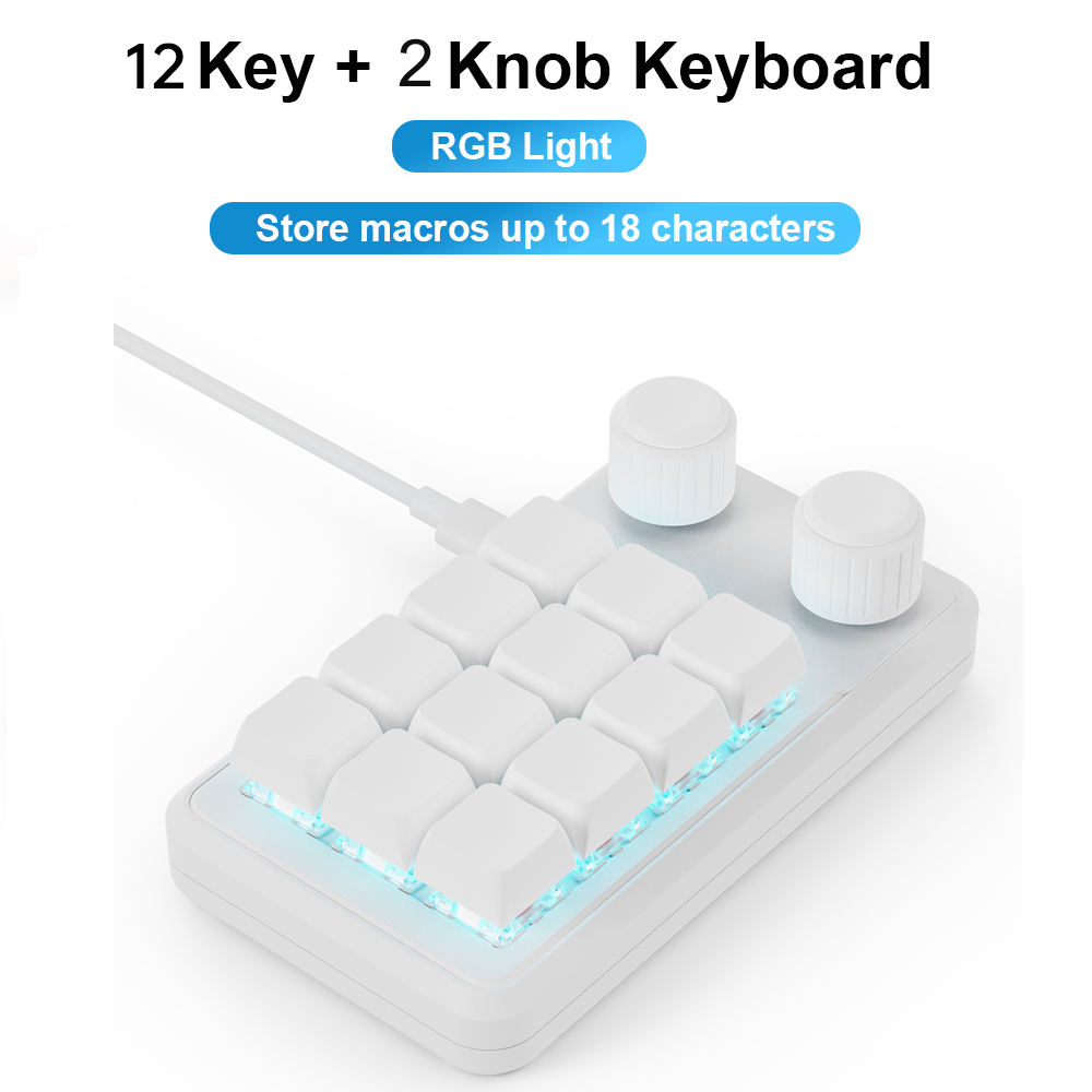 White 12Key Wired