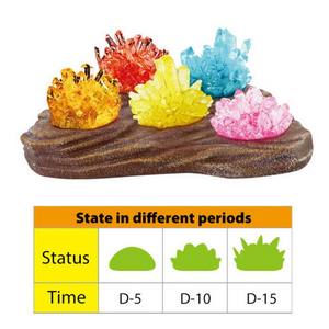 ของเล่นปลูกคริสตัล DIY สำหรับเด็กเพื่อการศึกษาและวิทยาศาสตร์ - Product Image 4