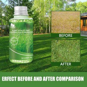 Alimento vegetal sólido de acción rápida 30G potenciador orgánico de césped y jardín para un crecimiento más verde y fuerte - Product Image 5