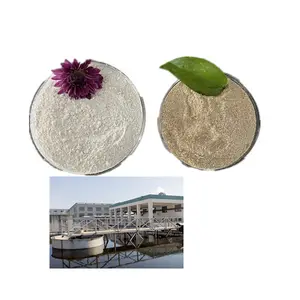 Environmental No Pollution Bio Microbial Powder Enzyme For Sewage Treatment Filtering