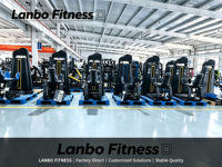 Fabricant d'équipements de gym, vente en gros : Machine à dips et extensions dorsales à charges sélectionnables, certifiée CE