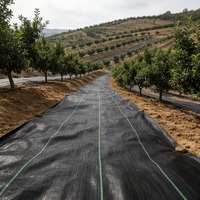 Fournisseur en gros de tapis de couverture de sol de haute qualité pour la plantation de tomates, toile de pépinière, allée de serre et parterre de roses