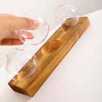 Dropshipping, jardinière de bureau, terrarium avec support en bois, 3 vases à fleurs bulbes en verre, station de propagation