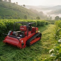 Tondeuse robot télécommandée 4x4 à moteur diesel 13 CV, lame à bobine, chenilles en caoutchouc, tout-terrain, idéale pour la tonte des pentes de vignobles - Meilleur prix