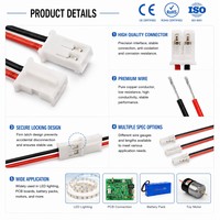 Connecteur USB personnalisé 2 broches Mini Micro JST XH2.54mm 24AWG 12V avec fils de 150mm, prise mâle/femelle