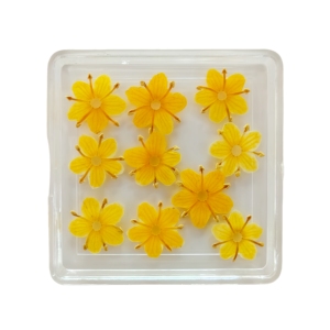 Vente flash Fleurs séchées originales pour l'art des ongles Fleurs séchées pressées pour l'artisanat en résine Vraies fleurs pour les ongles - Product Image 4