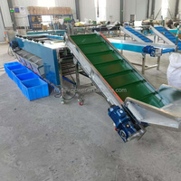 8-10t/u Kleine Kiwi-Komkommer Sorteermachine Automatische Abrikoos-Granaatappel Sorteermachine Pecannoten Rolgraderingsmachine