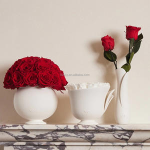 Arrangement en forme de dôme <span class=keywords><strong>VASE</strong></span> rond en porcelaine Eternal Forever Eternity <span class=keywords><strong>Rose</strong></span> fleur préservée - Product Image 3
