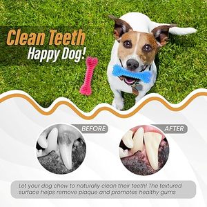 Jouet à mâcher écologique pour chien, os en plastique solide en forme de cœur, à picots, pour usage intérieur et extérieur - Product Image 5