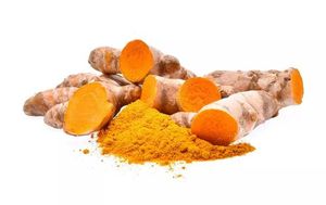 Toptan fabrika fiyat çin baharat tek otlar satılık yüksek kaliteli parmak zerdeçal - Product Image 6