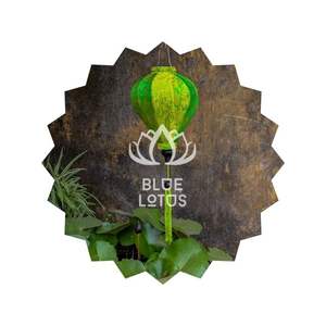 โคมไฟไหมบลูโลตัสลดราคาพิเศษ ปี 2025 โคมไฟไหมตกแต่งบ้านและสวน - Product Image 1