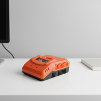 Chargeur de batterie 21V 2A pour outils électriques avec lumière LED, fournisseur chinois, accessoire pour batterie au lithium