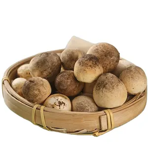 Dried Paddy Straw Mushrooms