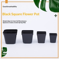 Fournitures de jardinage, petit pot carré noir pour plantes succulentes, plastique recyclé, économie d'eau, respirant