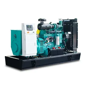 Dynamo Electric Generator for factory 170 kw Diesel Generator 220 kva