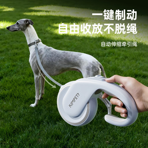 Automatic retractable <b>dog</b> <b>leash</b>/<b>leash</b> for medium and small <b>dogs</b>, including poodles and Bichon Frises. - Product Image 3