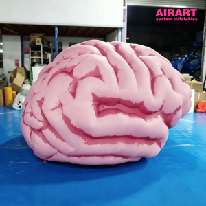 Modèle <span class=keywords><strong>de</strong></span> cerveau humain gonflable géant personnalisé 3M rose, simulation anatomique, accessoire pour <span class=keywords><strong>l</strong></span>'affichage éducatif dans les musées scientifiques - Product Image 2