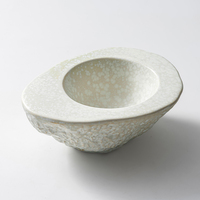 Bol à soupe créatif en céramique Esanjoy pour restaurants décontractés et gastronomiques, en porcelaine réactive à changement de couleur, de la gamme Hôtellerie