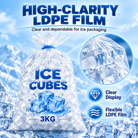 Sac à glace en LDPE épaissi, résistant aux fuites, capacité de charge de 3 kg à 10 kg, pour vente en gros aux détaillants et aux commerçants de boissons (ODM/OEM)