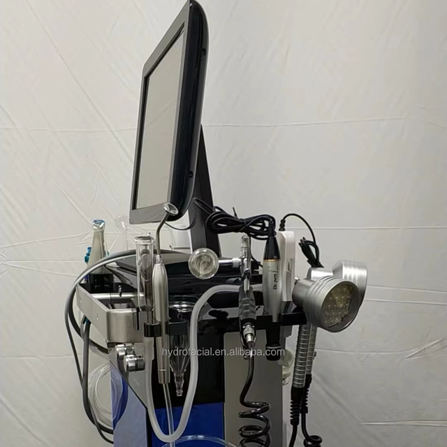 17 in 1 Hydra Skin Purifying Revitalizing Cleansing Hydro Beauty Professional Facial Machine Manufacturer