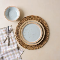 Nouveau lot de vaisselle pour restaurant et hôtel Assiette plate à steak en porcelaine Assiette en grès moucheté Ensemble de vaisselle