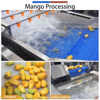 Grote fruit- en groente-luchtbellenwasmachine 2000kg bieten, mandarijnen, mango's, aardappelen, granaatappels, spuitwasapparatuur