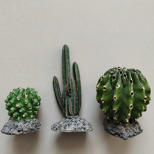 Phụ Kiện Trang Trí Bể Cá Cho Bò Sát Cây Xương Rồng Cảnh Quan Bằng Nhựa Trang Trí Cho Bò Sát - Product Image 2