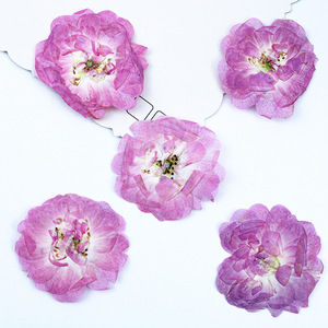 DIY本物の押し花ライトピンクパープルローズ、ナチュラルモーブローズの花、キャンドル作り、石鹸の埋め込み、エポキシ樹脂工芸装飾用 - Product Image 4