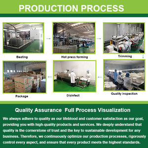 Conteneurs alimentaires <span class=keywords><strong>en</strong></span> bagasse biodégradables et compostables à 100 % sans PFAS, boîtes à clapet <span class=keywords><strong>en</strong></span> canne à sucre, fabricants chinois - Product Image 4