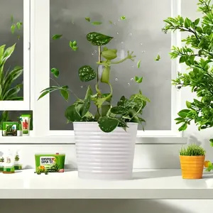 Soporte de Jardín en Forma de Paquete para Suministros de Jardinería al por Mayor, Soporte Ajustable para Plantas Trepadoras, Accesorio Verde - Product Image 2