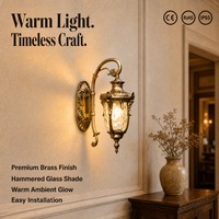 Applique Murale Extérieure LED 8W Rétro Européenne en Bronze, IP65, Dimmable, Blanc Chaud 3000K, en Aluminium et Verre pour Jardin