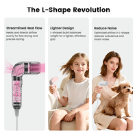 Nouveau Design Sèche-cheveux Ionique Portable 2026 Haute Puissance pour Animaux Domestiques, Sèche-cheveux Professionnel à Ions Négatifs Haute Vitesse