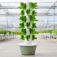 Tour de culture hydroponique pour légumes - Système de support vertical pour une récolte fraîche continue