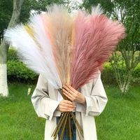 Bouquet de Fleurs de Roseau Séchées Artificielles de 81cm pour Mariage, Décoration de la Maison, Queue de Lapin, Noël, 1 Pièce